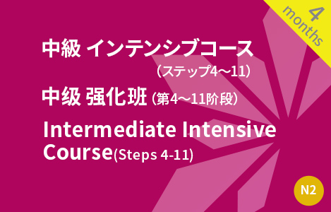 中級　インテンシブコース（ステップ4〜11） 中级　强化班 （第4〜11阶段）Intermediate Intensive Course (Steps 4-11)